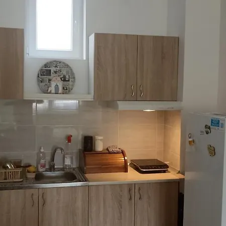 Bane Apartment Sokobanja